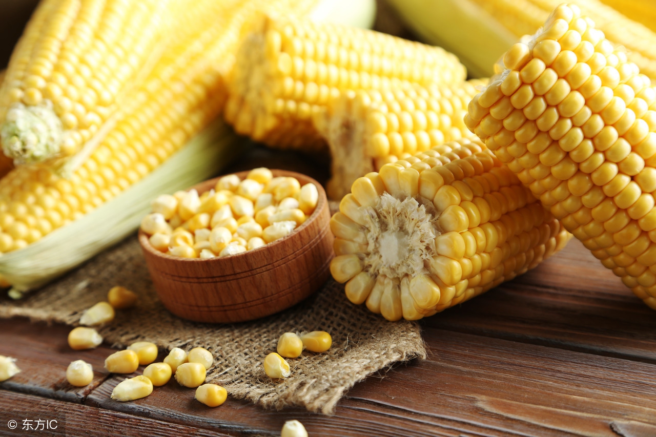 杰哥观市：今日南北港口玉米最新价格行情动态（07.24-26）