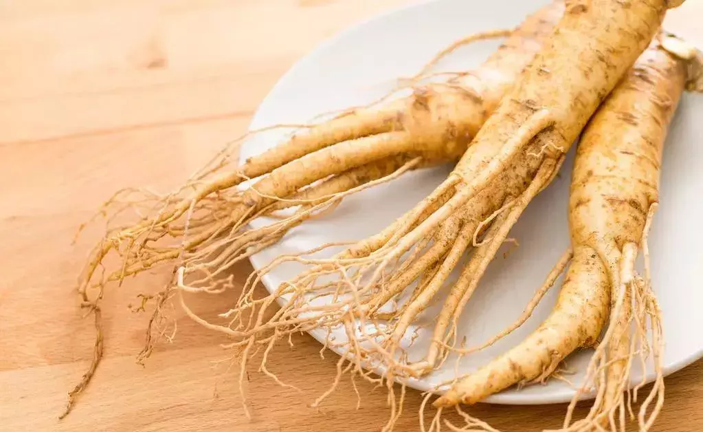 这5种“奇花异草” 每一种都很值钱,最后一种一斤卖到了五万元!