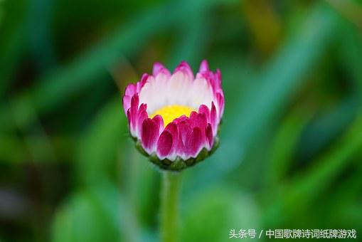 “飞花令”——日，66首含“日”的经典古诗词名句汇编