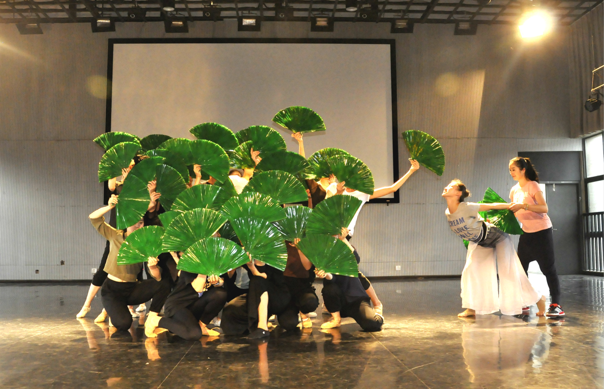 棕扇舞、白鹇鸟、哈尼家园，23位云艺姑娘的青春舞曲