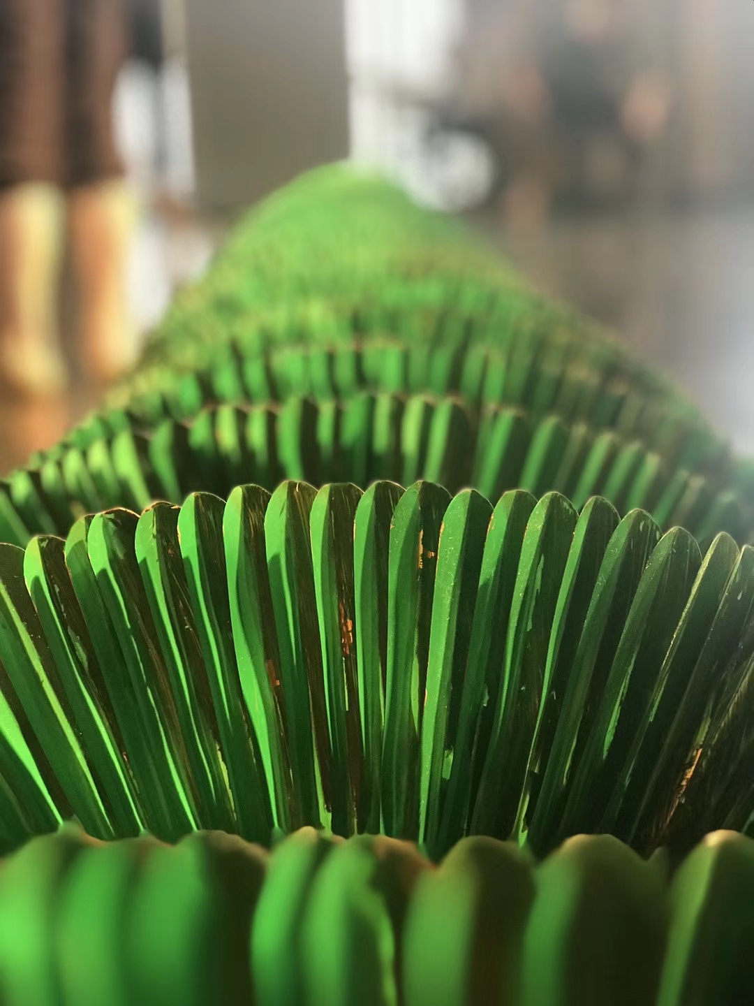 棕扇舞、白鹇鸟、哈尼家园，23位云艺姑娘的青春舞曲