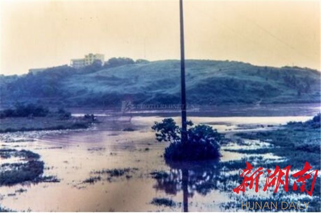 昔我往矣，雨雪霏霏；今我来兮，杨柳依依