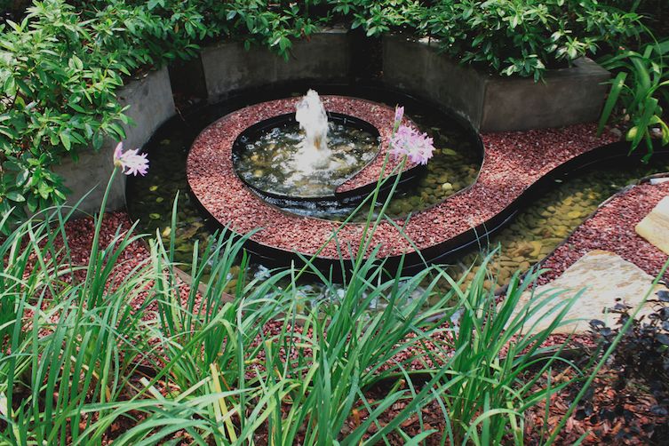 花园留一方小池塘，让院子清澈透凉