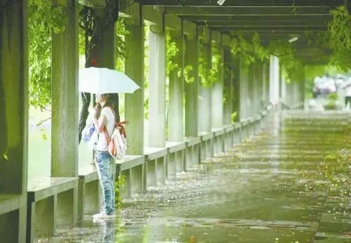 情感美文：《你是我的软肋，也是我的铠甲》（文 / 微雨红尘）