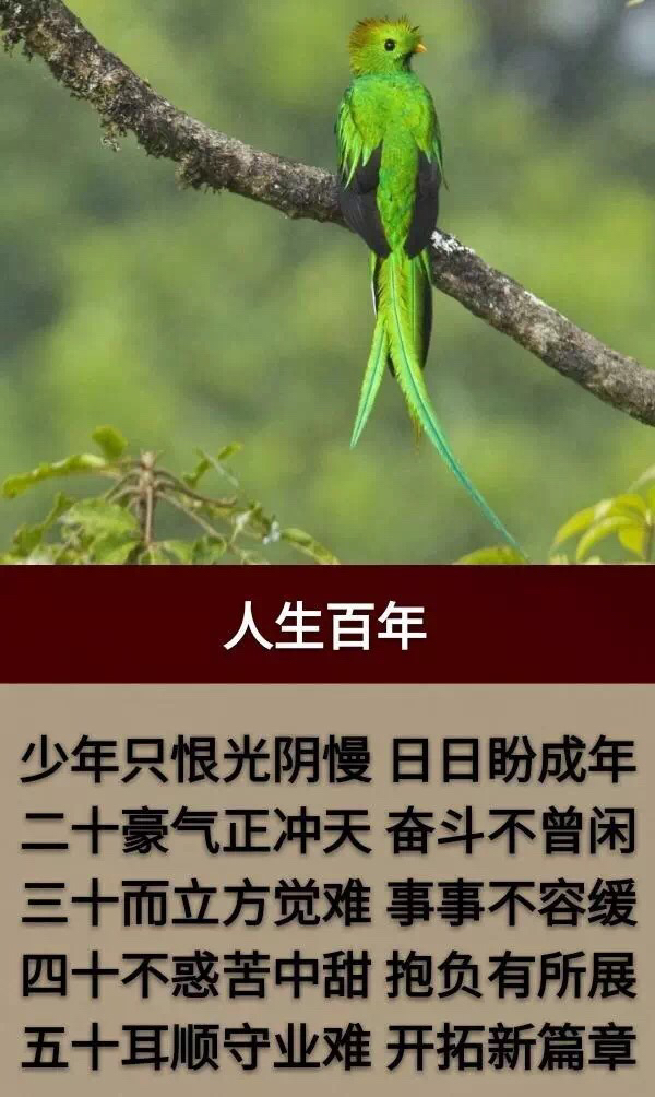 人生几十年弹指一瞬间_人生几十年弹指一挥间的意思是什么 - 励志人生