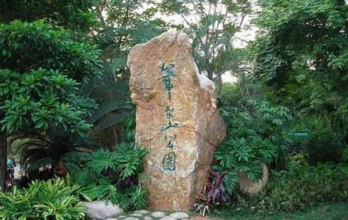 深圳免费的旅游景点,莲花山公园,红树林,中心公园,景美而清凉