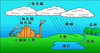 酸雨是怎样形成的,酸雨是怎样形成的原因