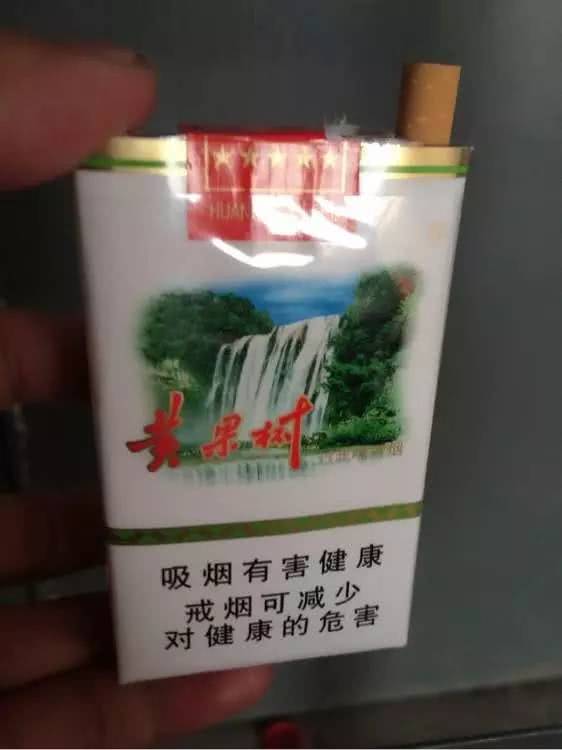 那些老辈子的香烟:大娄山,梵净山,阳宝山,天台山,翠屏山,黄果树,花溪