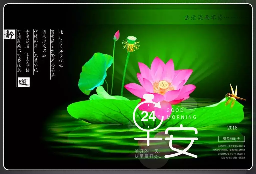 夏日早晨艳丽荷花图片问安,早上好问候句子