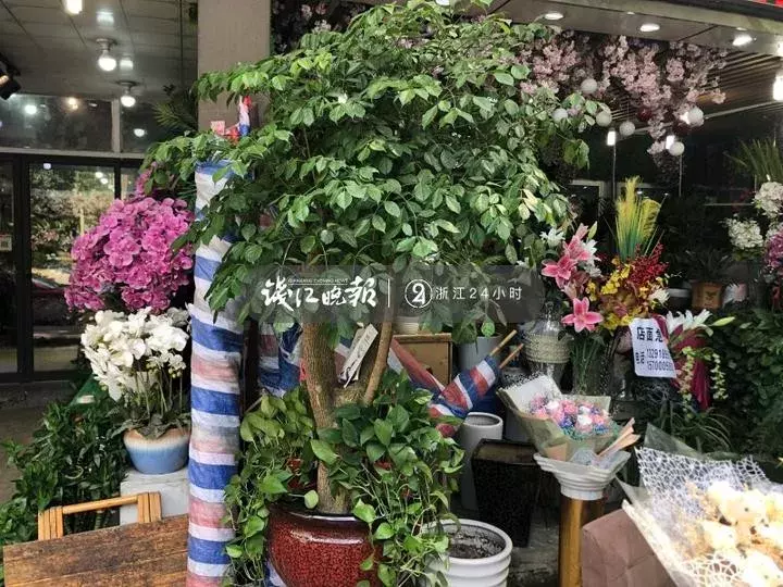 7000人一天捐了80万!对遭遇不幸的恩恩一家,杭州人想一起