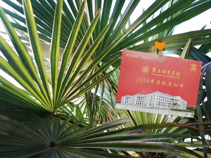 2018河南高考你的录取通知书来了没有（附18年最全河南录取时间）