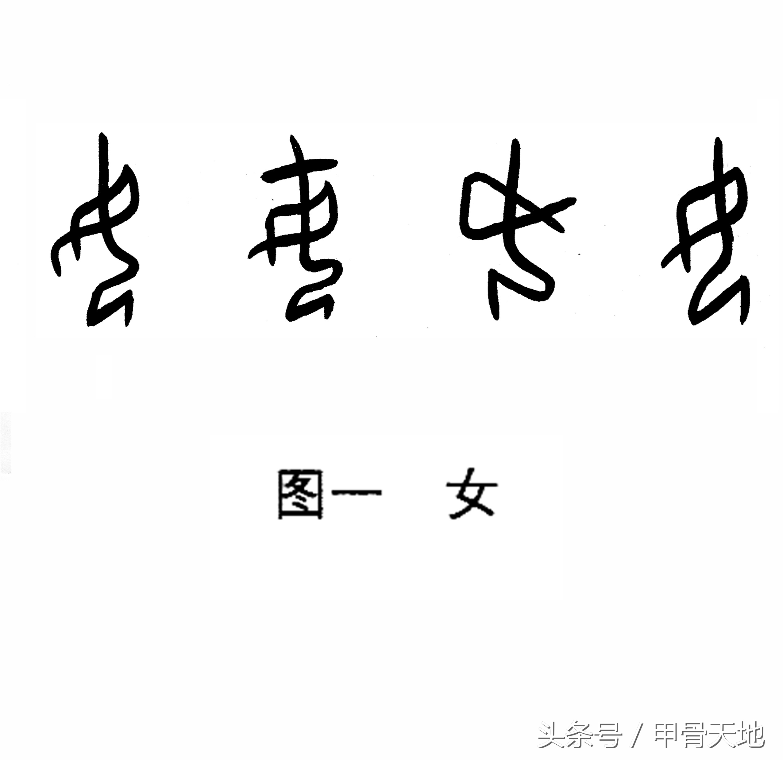 母字查字典查什么部首（母的查字法应该查什么）-第1张图片-巴山号