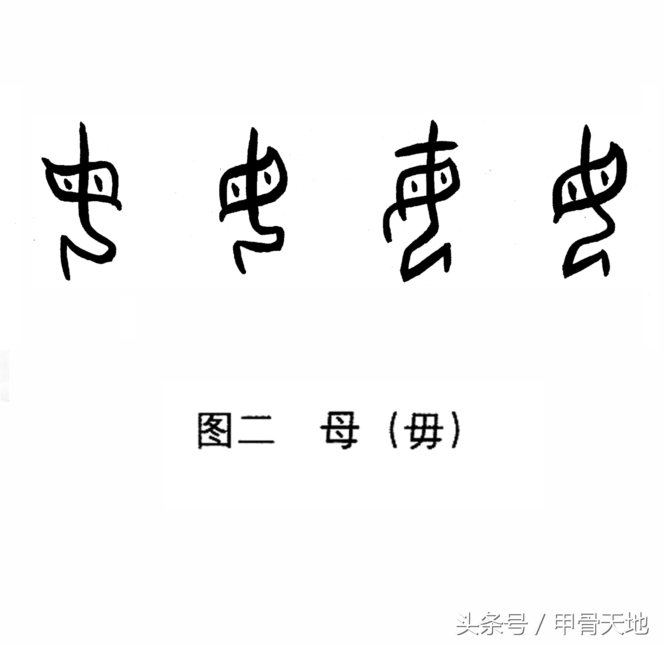 母字查字典查什么部首（母的查字法应该查什么）-第2张图片-巴山号