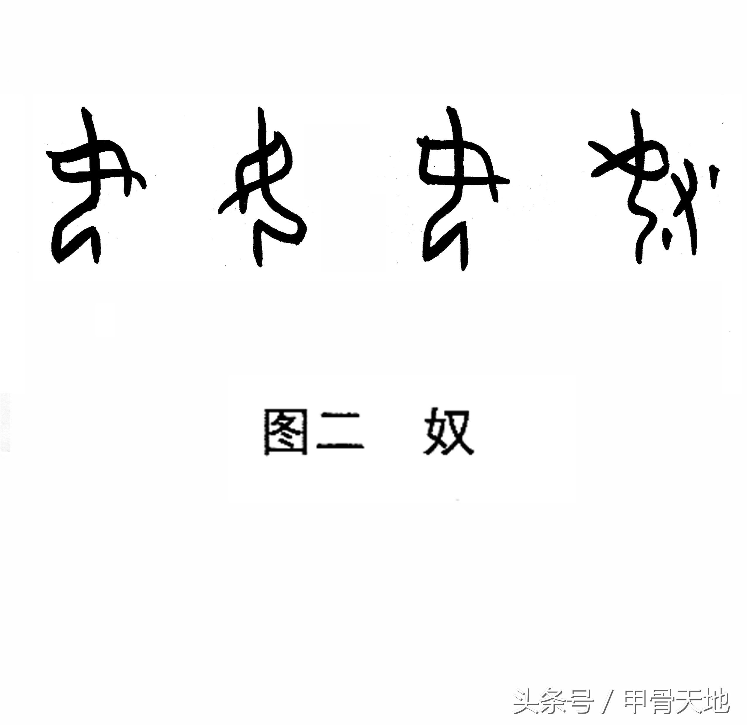 母字查字典查什么部首（母的查字法应该查什么）-第3张图片-巴山号