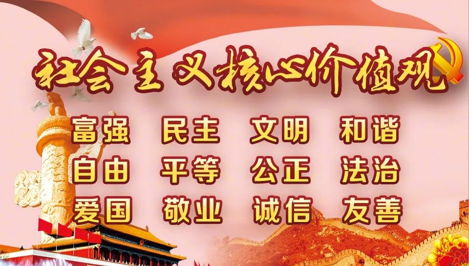 今日北海黑猪收购价格，北海今日猪价最新走势价格