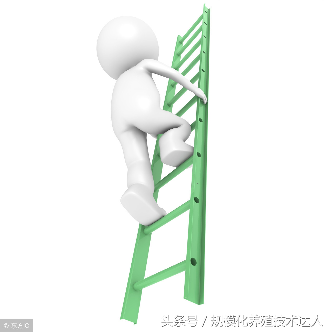 新建养猪场该如何申请环评？这些操作程序请拿走不谢！