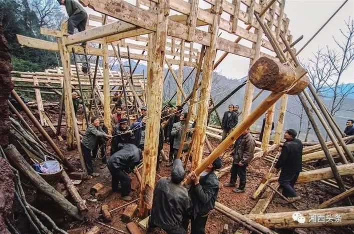 别具风味的苗家上梁，你见过吗？ - 标件库