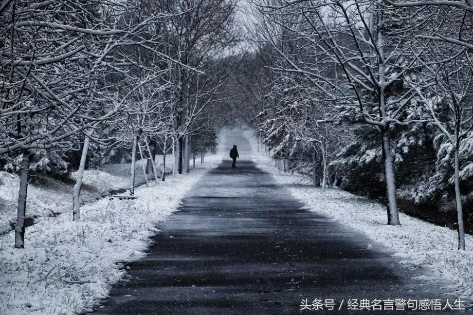 靠自己，才会无所畏惧！