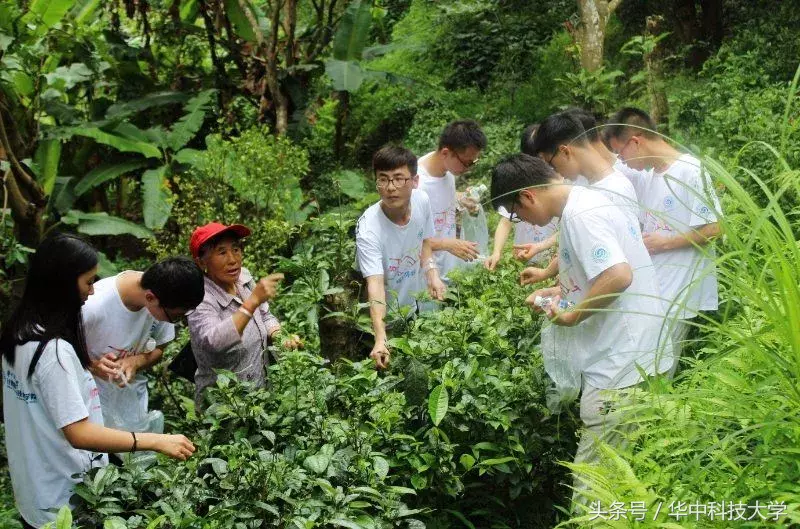 这次，华中大出动了7000多名学子！