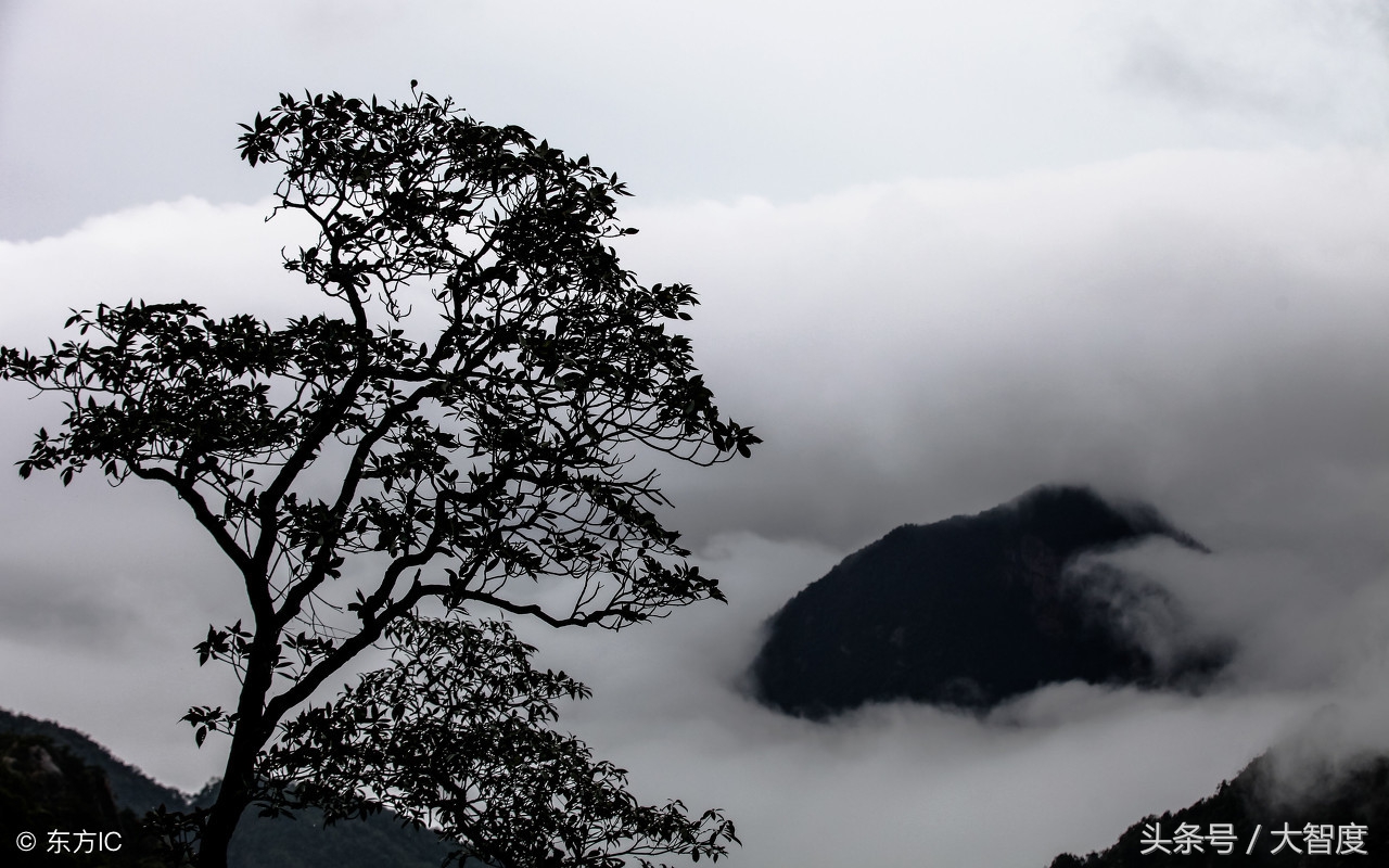 上联：日暮苍山远；求下联