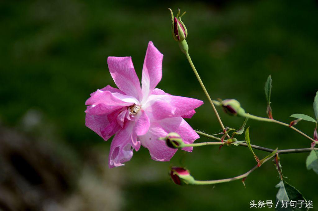 致自己非常精辟的充满正能量的话，句句走心，适合发微信朋友圈！