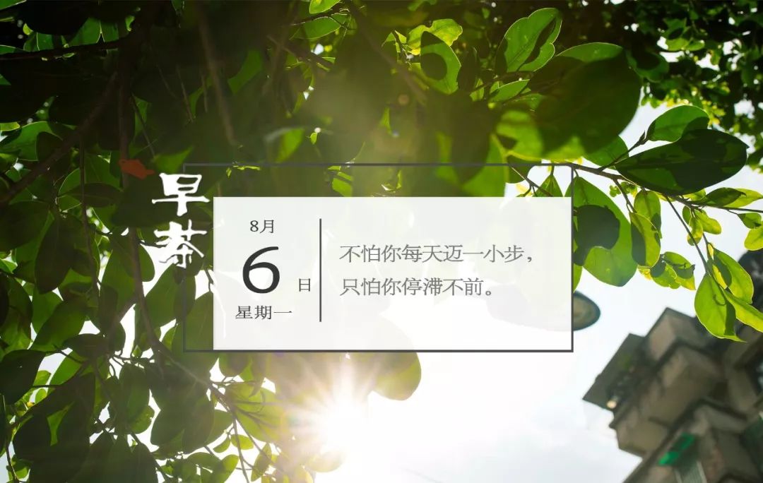 吓人！小区里惊现几十条蛇，原因竟是有人在……丨新闻早茶