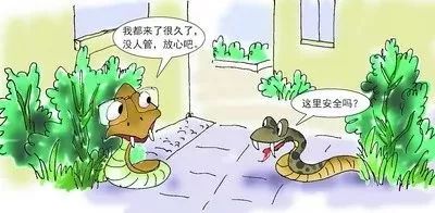 吓人！小区里惊现几十条蛇，原因竟是有人在……丨新闻早茶
