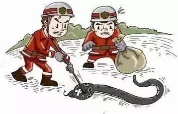 吓人！小区里惊现几十条蛇，原因竟是有人在……丨新闻早茶