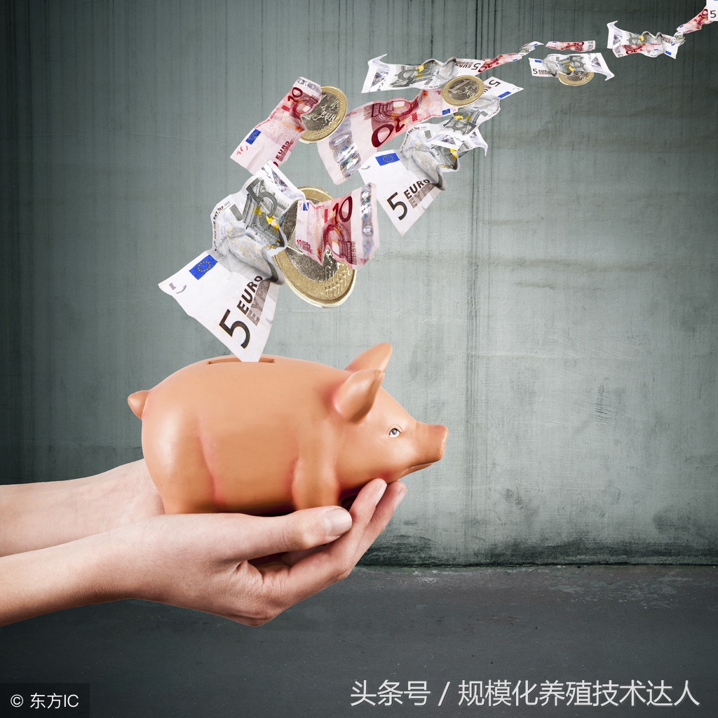 2018年8月7日生豬價格行情；供應處于季節性偏少，豬價將持續上漲