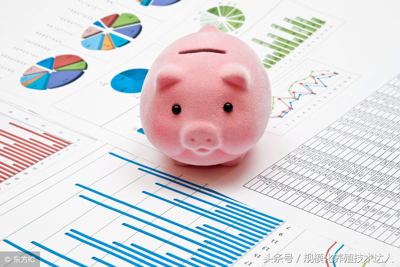 2018年8月7日生豬價格行情；供應處于季節性偏少，豬價將持續上漲