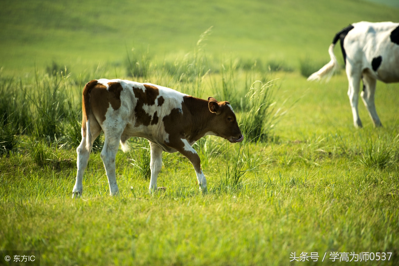 部编版二年级上册需要背诵的古诗和名言，暑假预习必备！