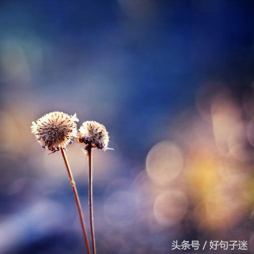 关于道不同不相为谋的说说道不同不相为谋图片配图说说