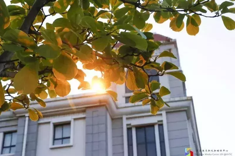 你好，我是青岛港湾职院，这是我的简历，以后请多关照！