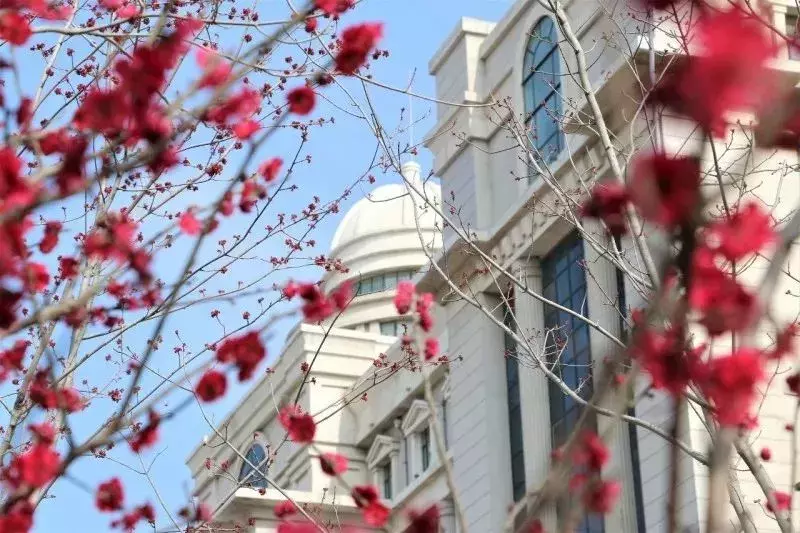 你好，我是青岛港湾职院，这是我的简历，以后请多关照！
