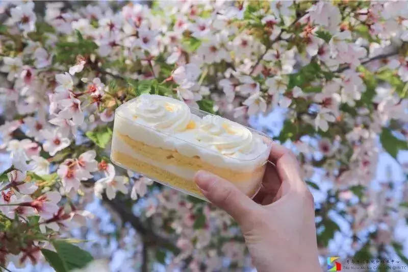 你好，我是青岛港湾职院，这是我的简历，以后请多关照！