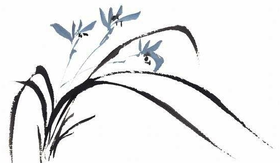 古诗词中的花花草草之兰花,最清雅的诗句,你总要会几句