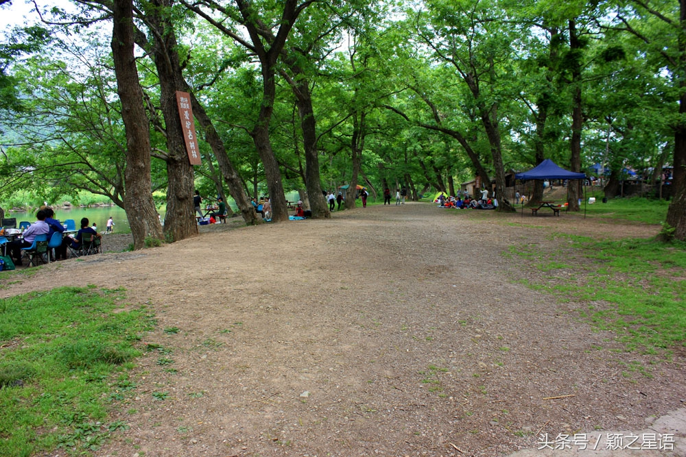 夏日全民旅行记：宁波最美自驾游公路，如何玩转四明山