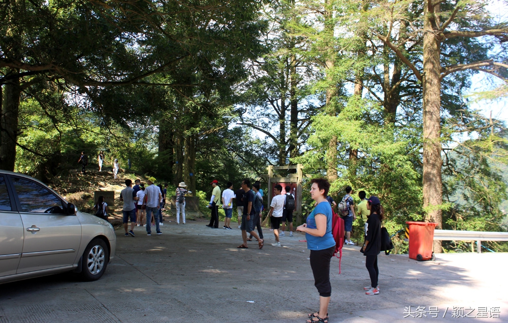 夏日全民旅行记：宁波最美自驾游公路，如何玩转四明山