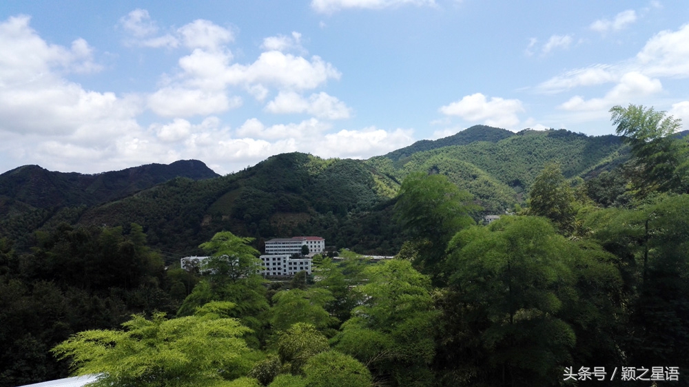 夏日全民旅行记：宁波最美自驾游公路，如何玩转四明山