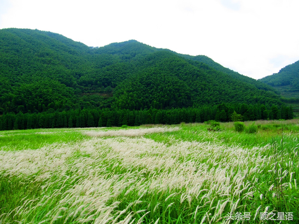 夏日全民旅行记：宁波最美自驾游公路，如何玩转四明山