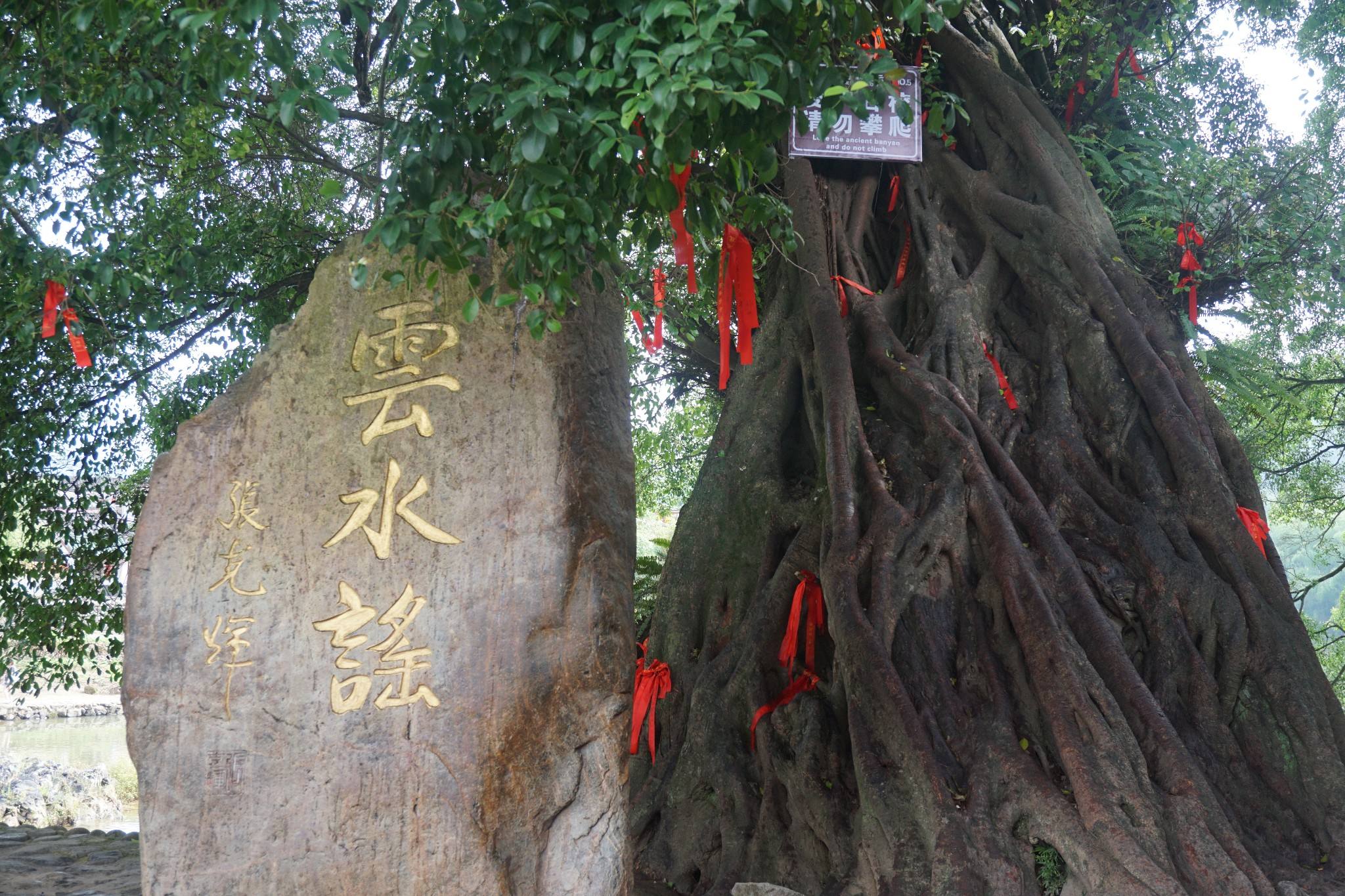 福建漳州旅遊必去景點,雲水謠古鎮,趁陽光正好相約去遊玩一番!