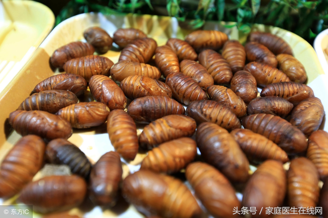 蚕蛹看起来恶心，吃多了非但不上火，反而能补充5大营养