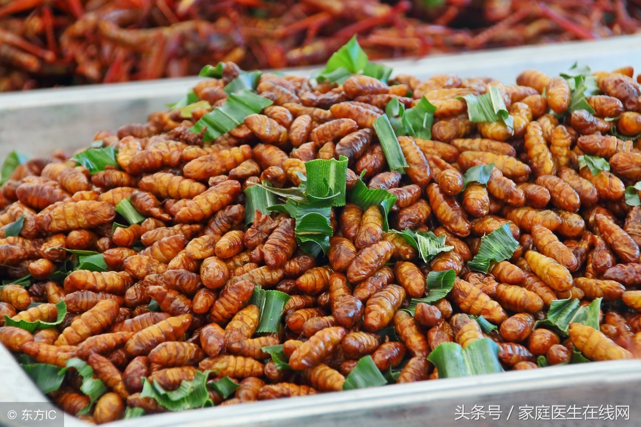 蚕蛹看起来恶心，吃多了非但不上火，反而能补充5大营养