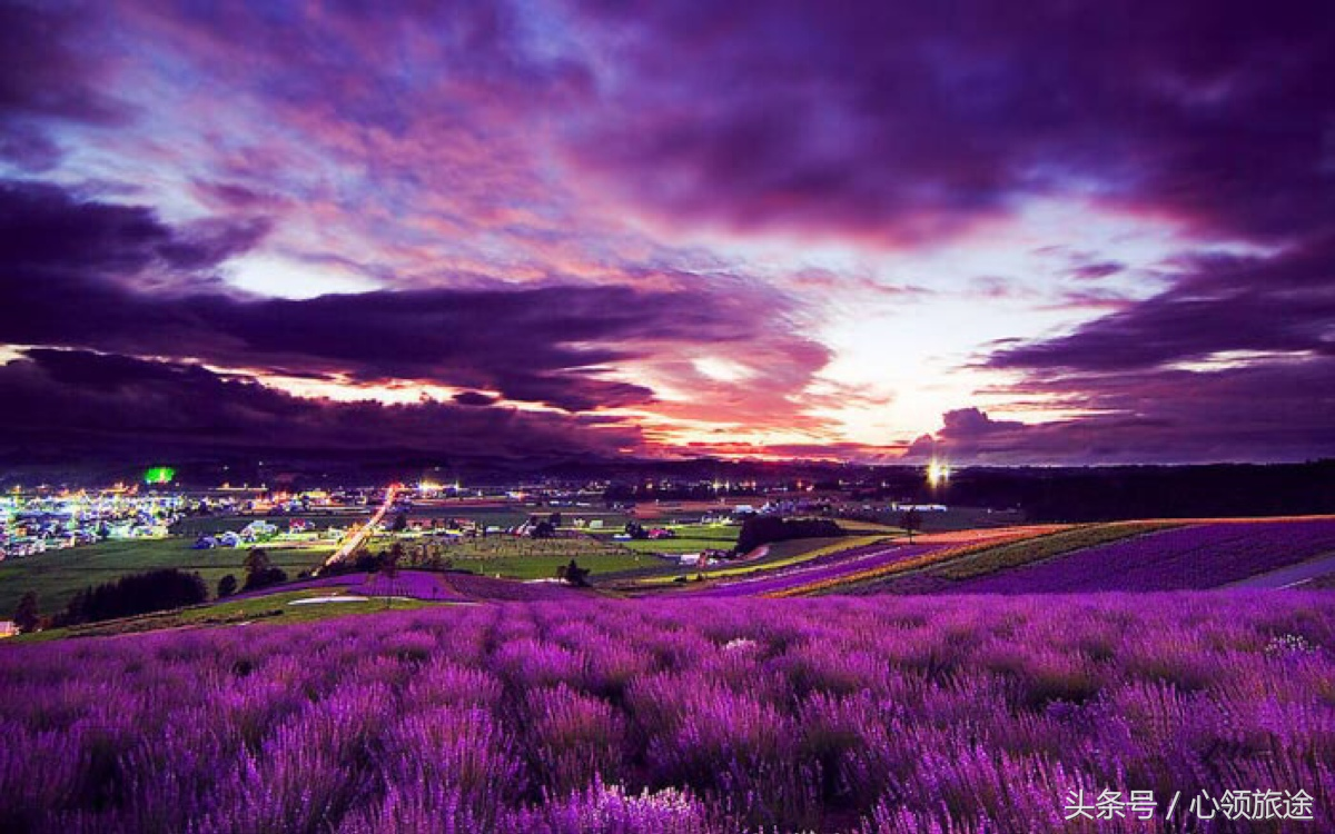 普罗旺斯,位于法国南部,是花语为等待爱情的紫色小花——薰衣草的