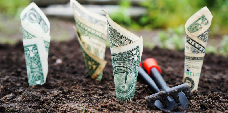 理财保险怎么分类，都有哪些区别？（万能险/年金险/分红寿险）