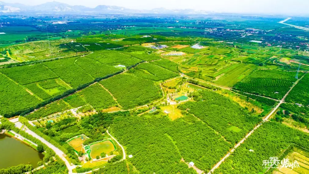 河北一中学，今年考上6个清华北大！入学前他们做了这件事儿……