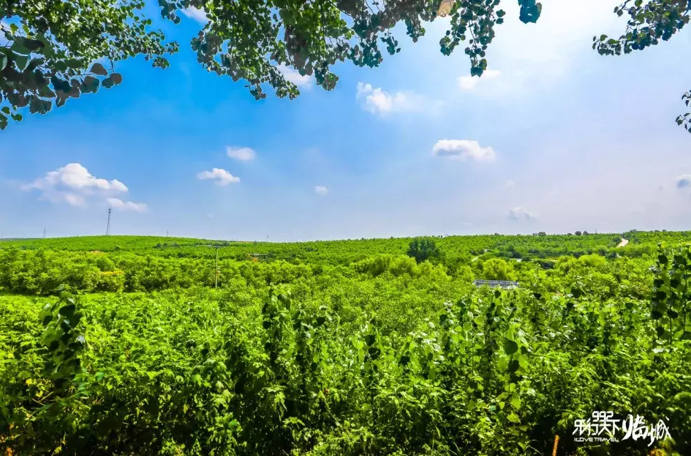 河北一中学，今年考上6个清华北大！入学前他们做了这件事儿……