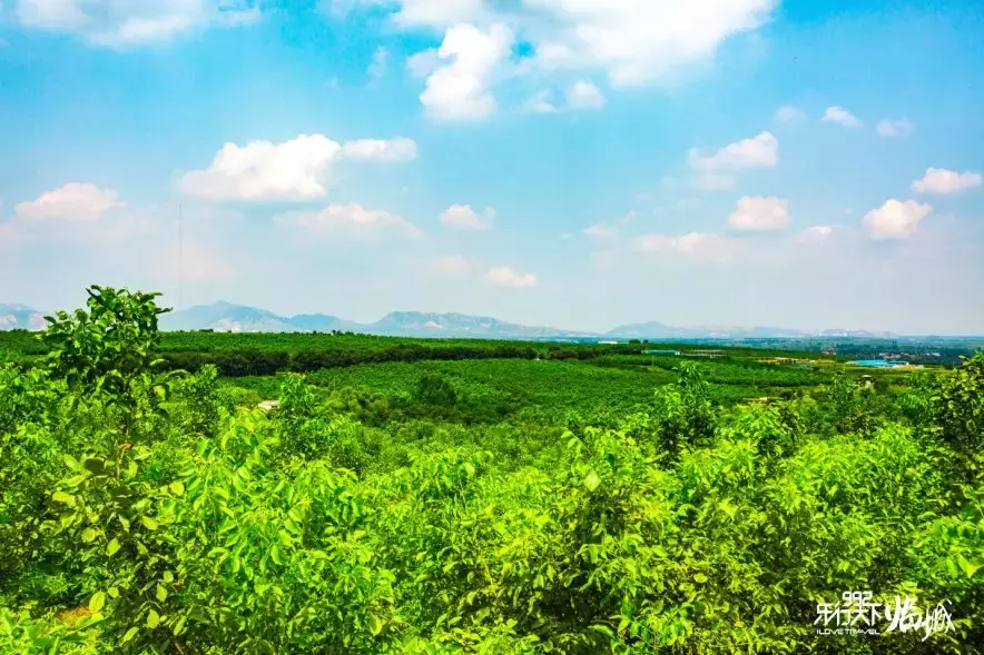 河北一中学，今年考上6个清华北大！入学前他们做了这件事儿……