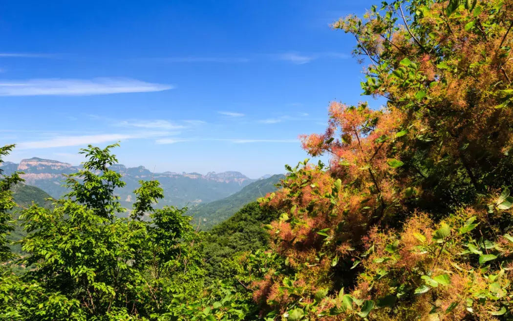 河北一中学，今年考上6个清华北大！入学前他们做了这件事儿……