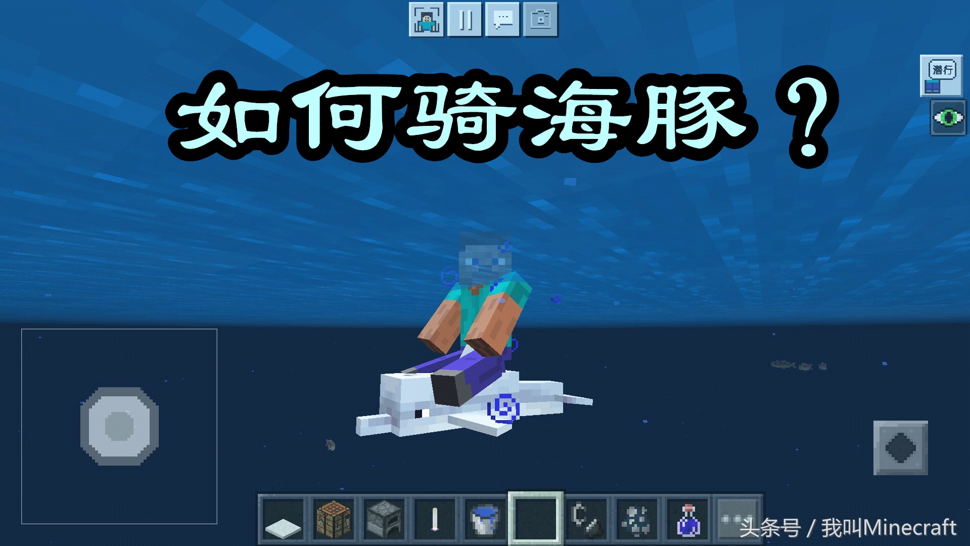 我的世界海洋版：海豚不给骑怎么办？这2种骑乘方法，你选哪个？